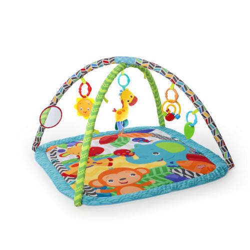 Bright Starts Zippy Zoo Baby Activity Gym