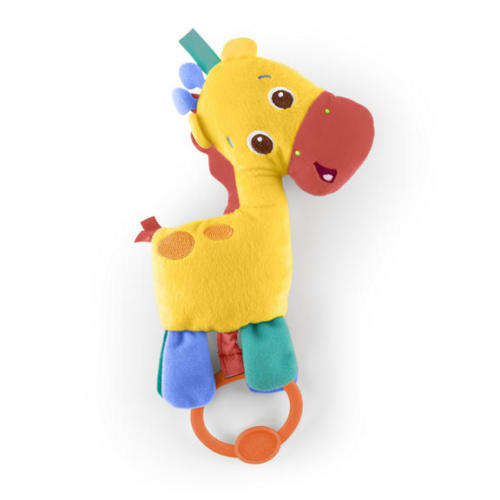 Bright Starts Zippy Zoo Baby Activity Gym