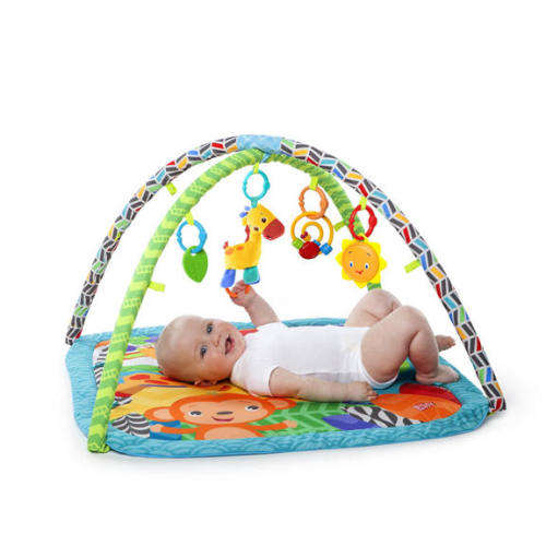 Bright Starts Zippy Zoo Baby Activity Gym