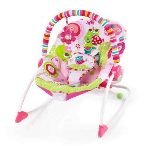 Bright starts Raspberry Garden Baby Rocker