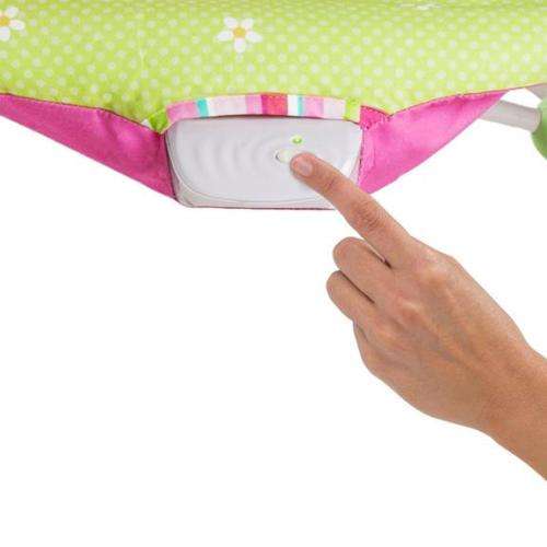 Bright starts Raspberry Garden Baby Rocker