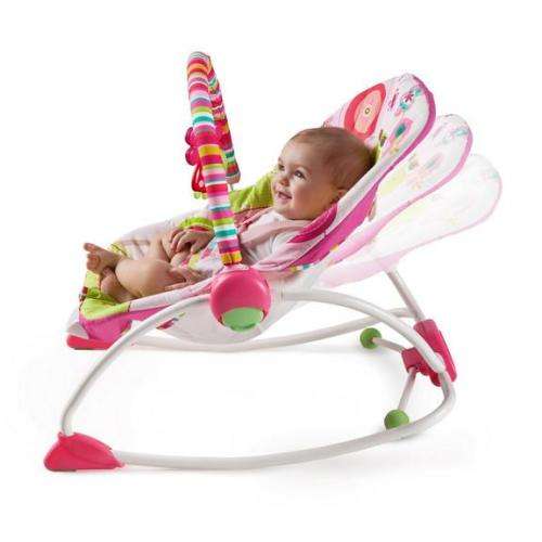 Bright starts Raspberry Garden Baby Rocker