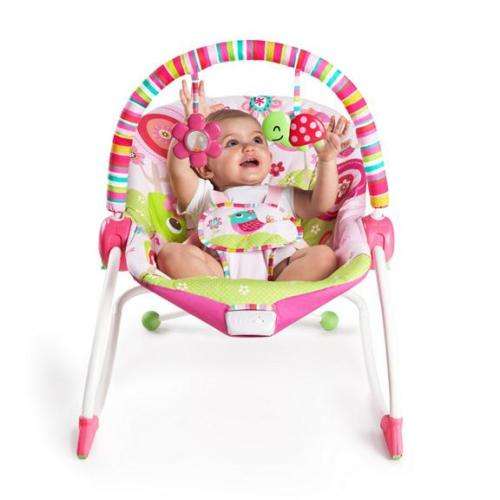 Bright starts Raspberry Garden Baby Rocker