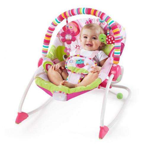 Bright starts Raspberry Garden Baby Rocker