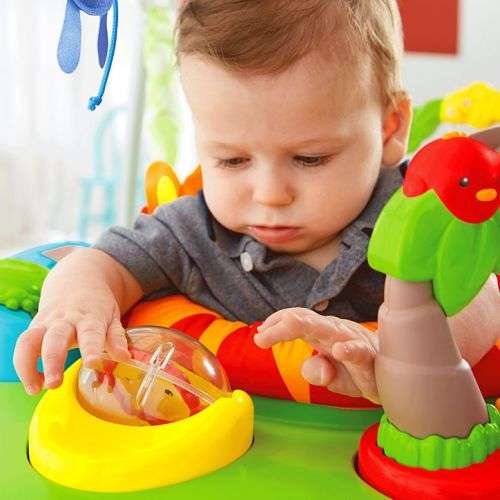 Fisher-Price Roarin' Rainforest Jumperoo