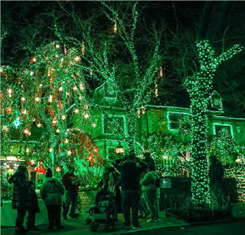 Fairy Lights Solar Outdoor String Light Christmas Light -  Green