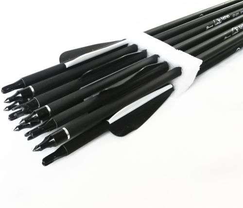 Arrow Archery Carbon Arrows For Compound & Recurve Bow - Set of 12 - L31.5`, D7.8mm