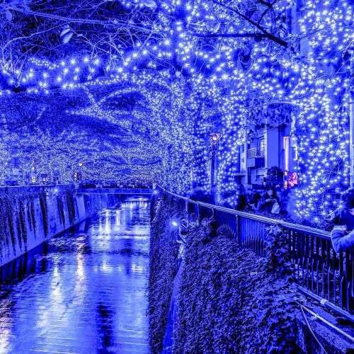 String Lights Fairy Lights Outdoor Solar -100 LED Bulbs Christmas Lights - Blue + Pink + Purple