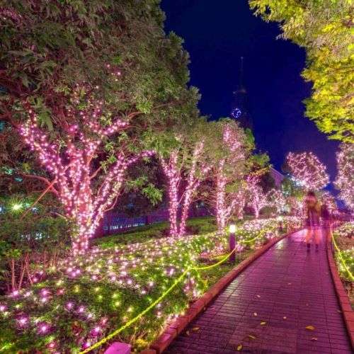 String Lights Fairy Lights Outdoor Solar -100 LED Bulbs Christmas Lights - Blue + Pink + Purple