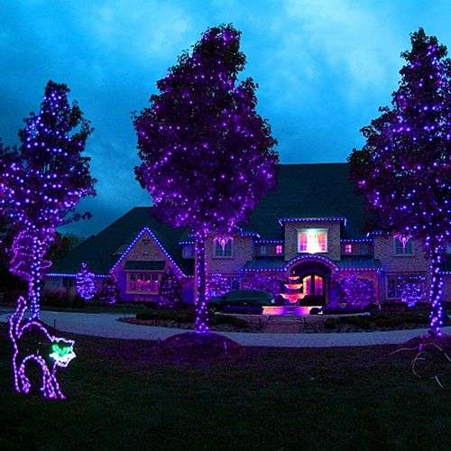 String Lights Fairy Lights Outdoor Solar -100 LED Bulbs Christmas Lights - Blue + Pink + Purple