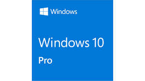 Windows 10 Professional key