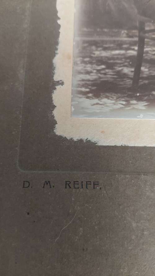 Late 1800s/early 1900s Cabinet Card Studio Photos