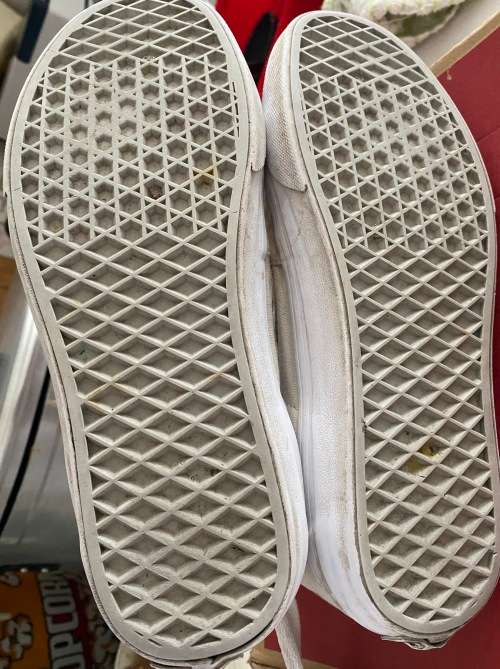 Vans Sk8 Hi Sneakers White UK7