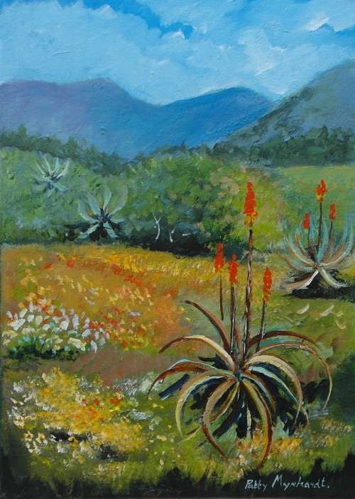 Painting by Patty Mynhardt "Aloe Ferox" Crazy Wednesday Special - 25 x 35 cm
