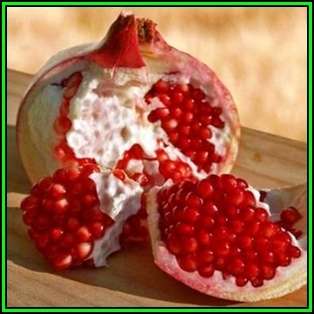 Pomegranate - Punica granatum Seeds - Edible Fruit - Tree or Shrub - New