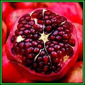 Pomegranate - Punica granatum Seeds - Edible Fruit - Tree or Shrub - New