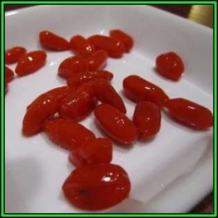 Goji Berry, Wolf Berry - Lycium chinense - 20 Seed Pack - Exotic Edible Fruit Shrub