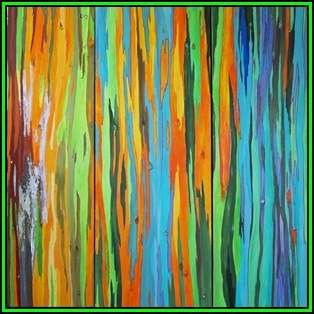 Eucalyptus deglupta - 10 Seeds - Rainbow Eucalyptus, Mindanao Gum or Rainbow Gum Tree, NEW