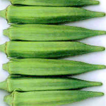 Okra Vegetable Seeds - Abelmoschus esculentus Seeds