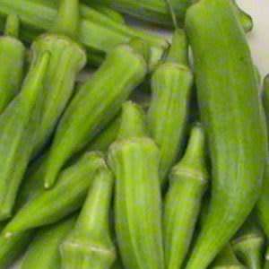 Okra Vegetable Seeds - Abelmoschus esculentus Seeds
