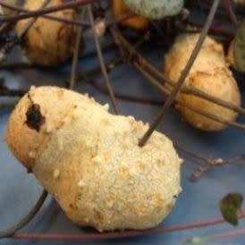 Ceropegia woodii - String of Hearts - 10 Seed Pack - Indigenous South African Succulent Vine - New