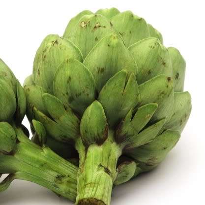 Cynara cardunculus var. scolymus - Green Globe Artichoke Seeds - Edible Vegetable - New