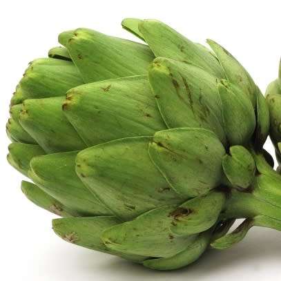 Cynara cardunculus var. scolymus - Green Globe Artichoke Seeds - Edible Vegetable - New