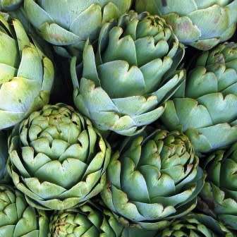 Cynara cardunculus var. scolymus - Green Globe Artichoke Seeds - Edible Vegetable - New