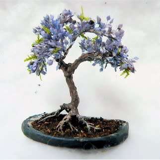 5 Paulownia tomentosa Bonsai Seeds - Royal Paulownia, Empress Tree - Combined Shipping