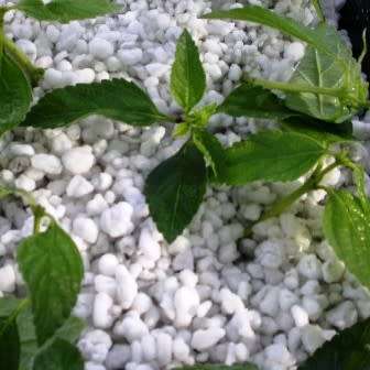 10 Liter Horticultural Perlite - Soil Conditioner Sterile Hydroponic Grow Medium - Ultra Lightweight