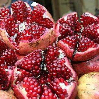 Pomegranate - Punica granatum - Edible Fruit - Tree or Shrub - 5 Seed Pack