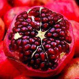 Pomegranate - Punica granatum - Edible Fruit - Tree or Shrub - 5 Seed Pack