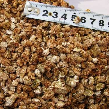 50 Liter Horticultural Vermiculite - Sterile Grow Medium - Growing Aids - Hydroponics