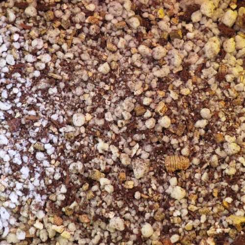 5 Liter Carnivorous Growing Medium No. 1 - Sterile Hydroponic Growing Aids