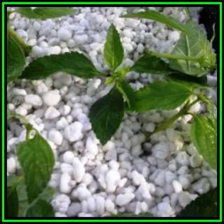 1 Liter Horticultural Perlite - Soil Conditioner Sterile Hydroponic Grow Medium - Ultra Lightweight