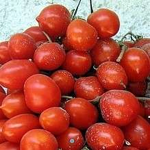 5 Principe Borghese Tomato Seeds - Lycopersicon esculentum Heirloom Seeds - Vegetable Seeds