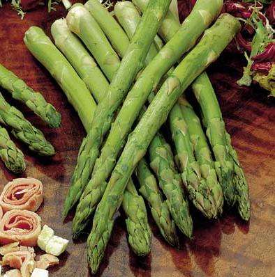 Asparagus UC 157 Vegetable Seeds ~ Asparagus officinalis Seeds
