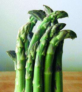 40 Asparagus UC 157 Vegetable Seeds ~ Asparagus officinalis Seeds