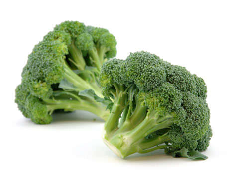 200 Broccoli Green Sprouting Calabrese Vegetable Seeds ~ Brassica oleracea Seeds