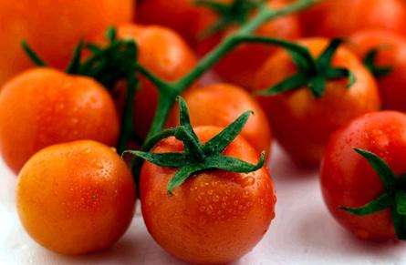 Cherry Tomato Vegetable Seeds ~ Solanum lycopersicum var. cerasiforme Seeds
