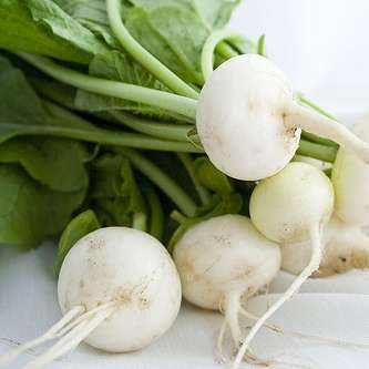 Radish Hailstone Seeds - Raphanus sativus Seeds - Heirloom Vegetable Seeds