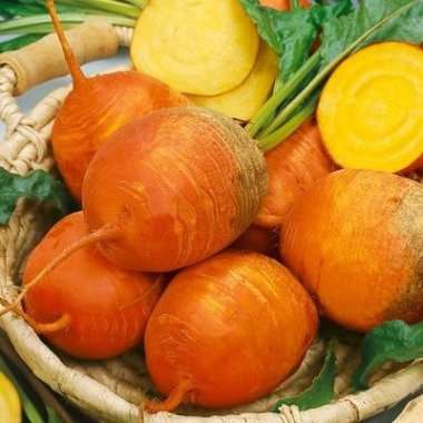 10 Beet Golden Detroit - Beta vulgaris - Vegetable Seeds