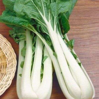 Chinese Cabbage Pak Choi White Stem Seeds - Brassica rapa chinensis - Vegetable Seeds