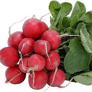 5 Radish Crimson Giant Seeds - Raphanus sativus Seeds - Vegetable Seeds