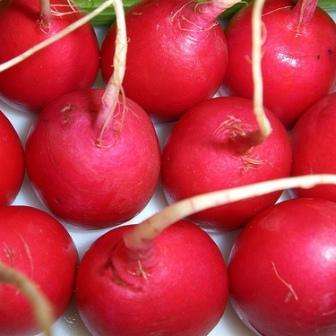 5 Radish Crimson Giant Seeds - Raphanus sativus Seeds - Vegetable Seeds