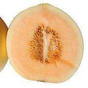 10 Melon Casaba Golden Beauty Seeds - Cucumis melo - Heirloom Fruit Seeds