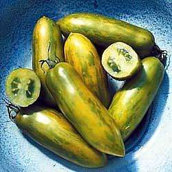 10 Green Sausage Tomato Seeds - Lycopersicon esculentum Seeds - Heirloom Vegetable Seeds