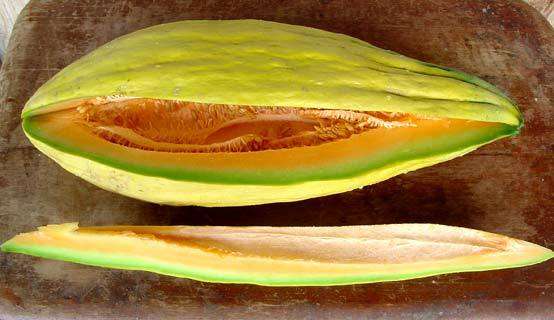 20 Banana Cantaloupe Melon Seeds - Cucumis melo - Bulk Heirloom Fruit Seeds