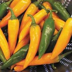 5 Bulgarian Carrot Chilli Pepper Seeds - Capsicum annuum Chili - Vegetable Seeds- Chile