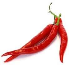 Long Horn Chilli Pepper Seeds - Capsicum annuum - Vegetable - Chile - Chili Seeds to Buy